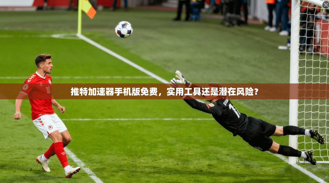 推特加速器手机版免费，实用工具还是潜在风险？