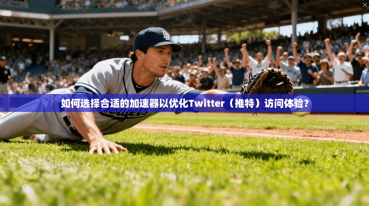 如何选择合适的加速器以优化Twitter（推特）访问体验？