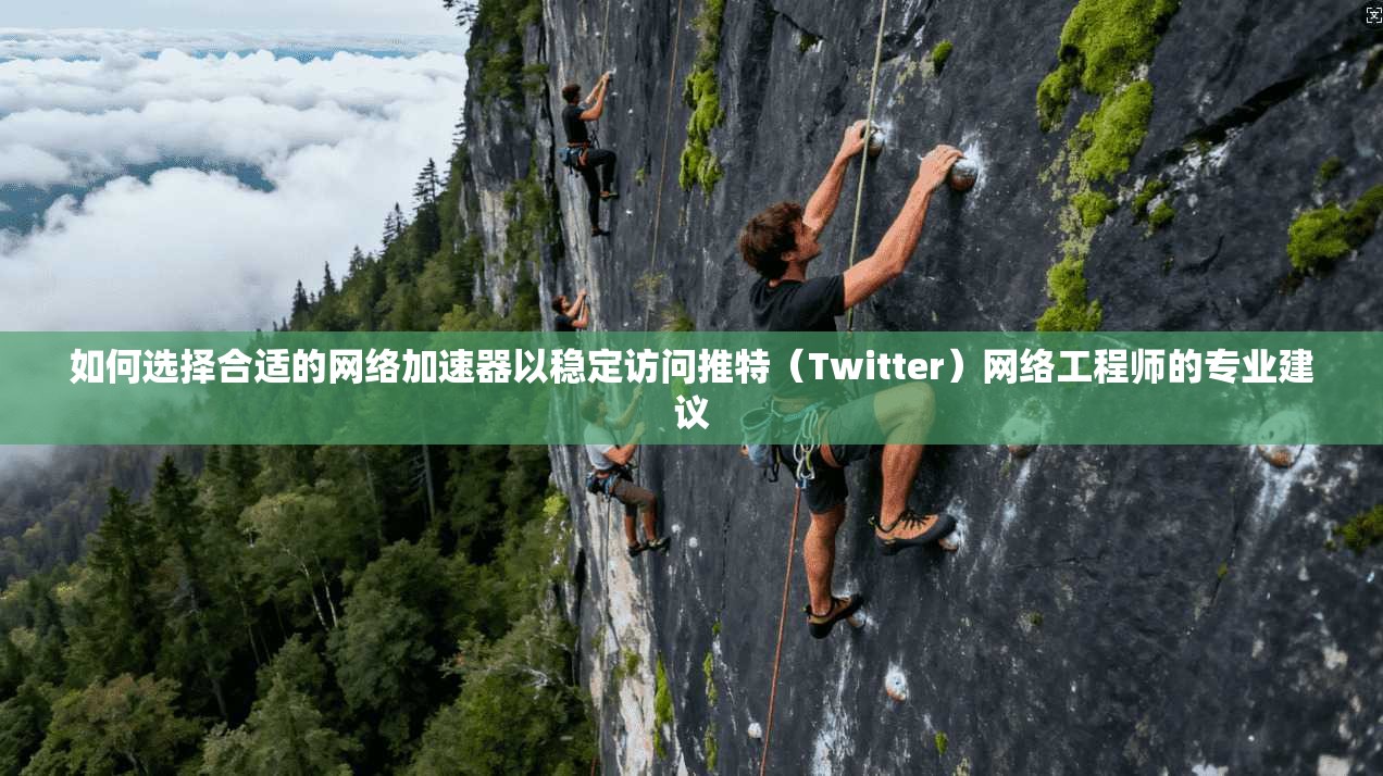 如何选择合适的网络加速器以稳定访问推特（Twitter）网络工程师的专业建议