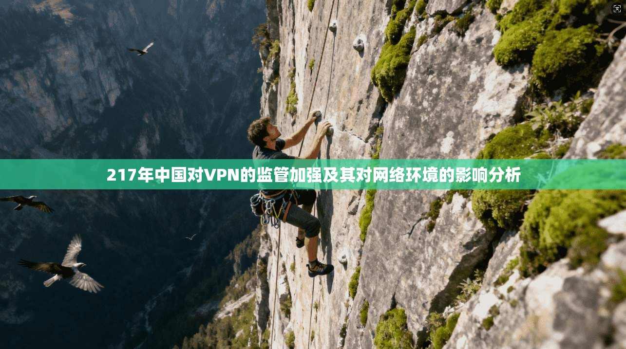 217年中国对VPN的监管加强及其对网络环境的影响分析