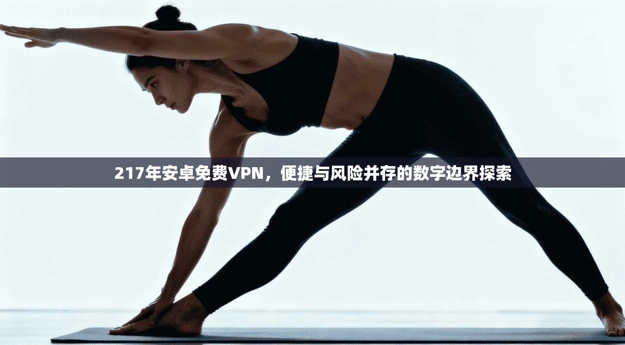 217年安卓免费VPN，便捷与风险并存的数字边界探索
