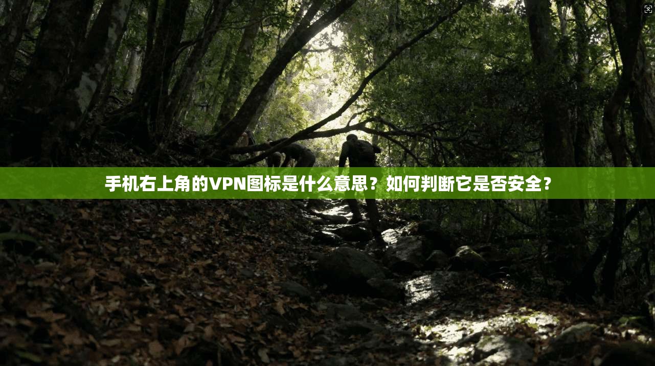 手机右上角的VPN图标是什么意思？如何判断它是否安全？