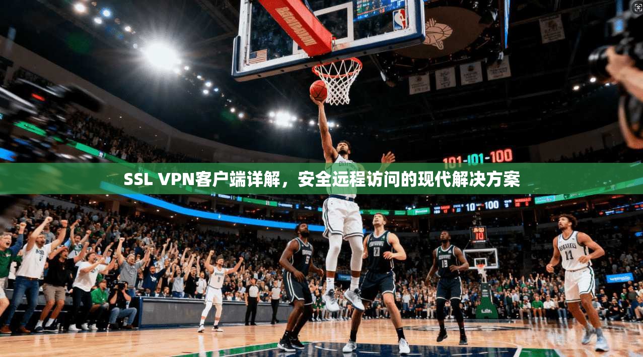 SSL VPN客户端详解，安全远程访问的现代解决方案