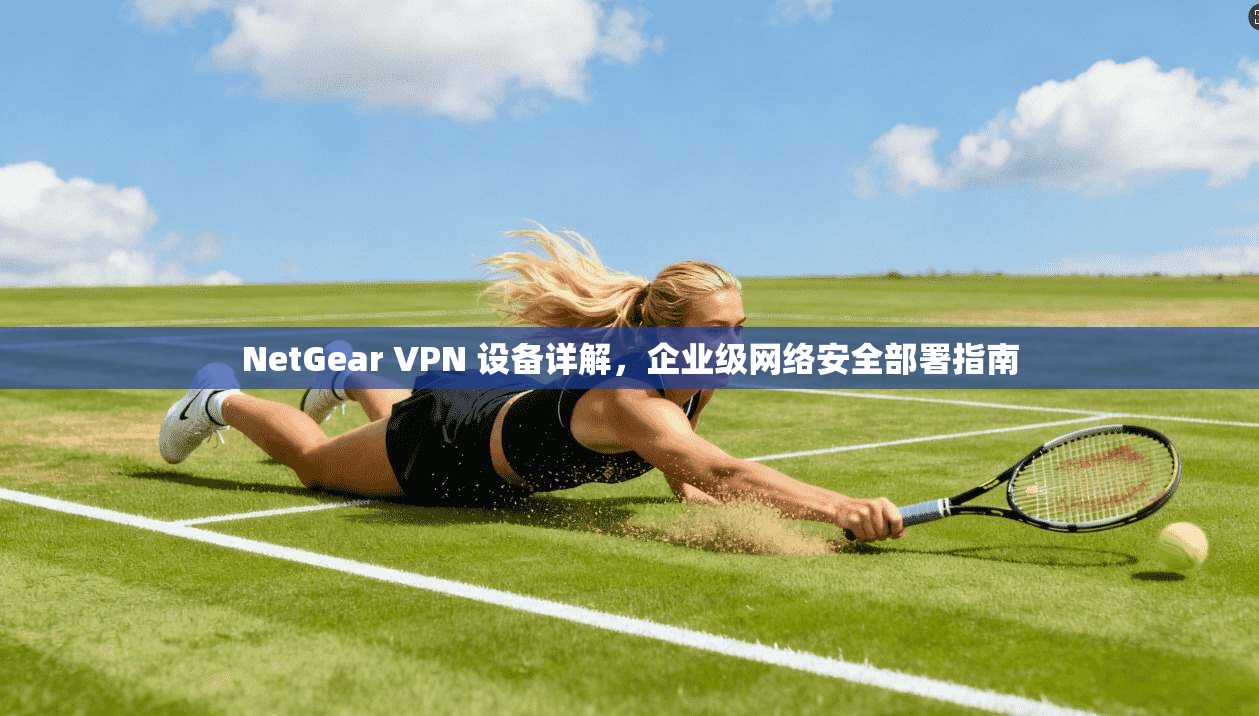 NetGear VPN 设备详解，企业级网络安全部署指南
