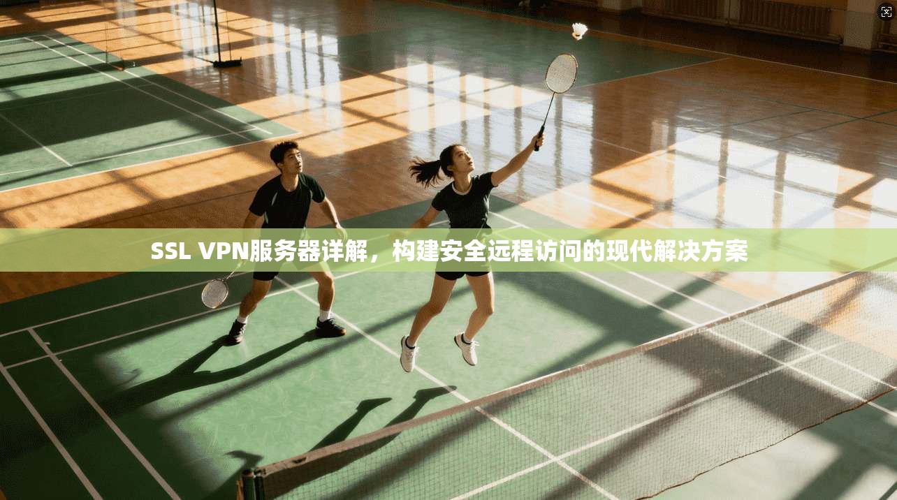 SSL VPN服务器详解，构建安全远程访问的现代解决方案