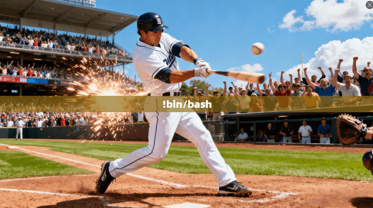 !bin/bash