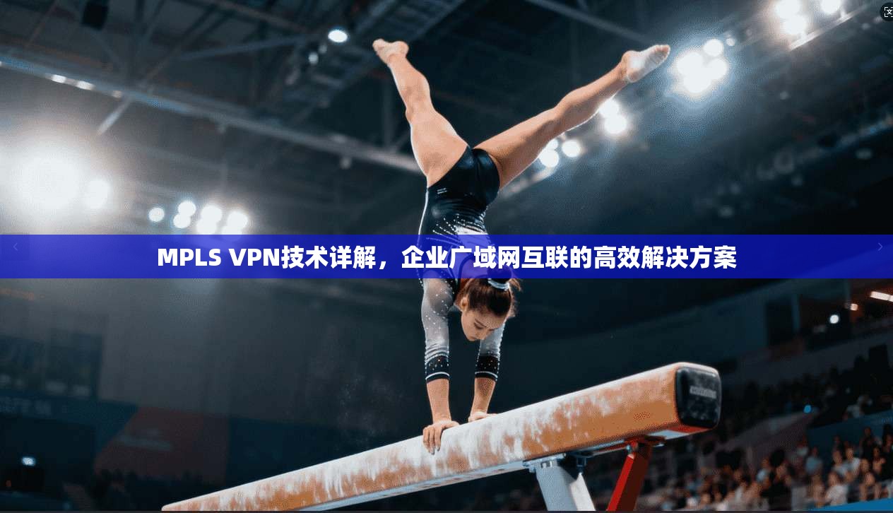MPLS VPN技术详解，企业广域网互联的高效解决方案