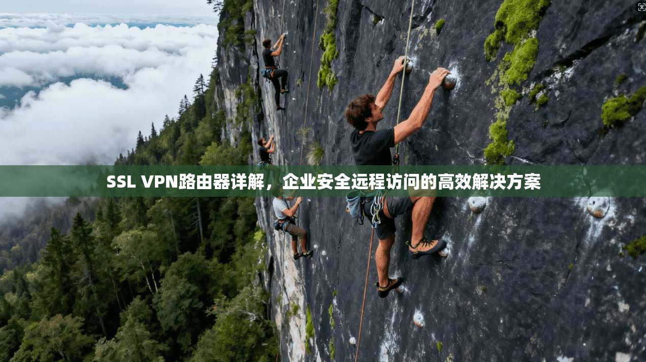 SSL VPN路由器详解，企业安全远程访问的高效解决方案