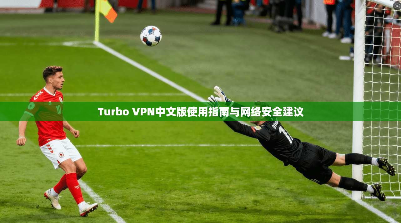 Turbo VPN中文版使用指南与网络安全建议