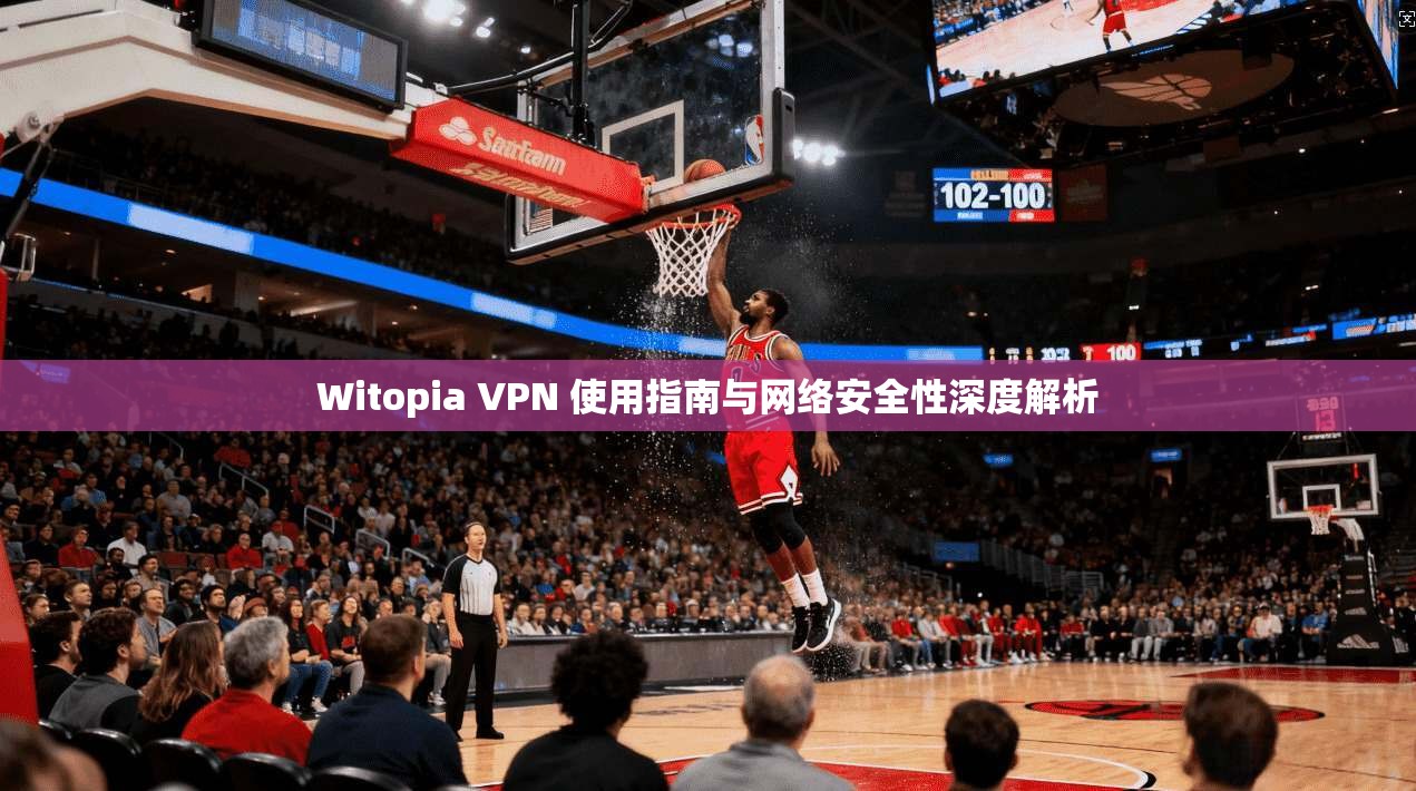 Witopia VPN 使用指南与网络安全性深度解析